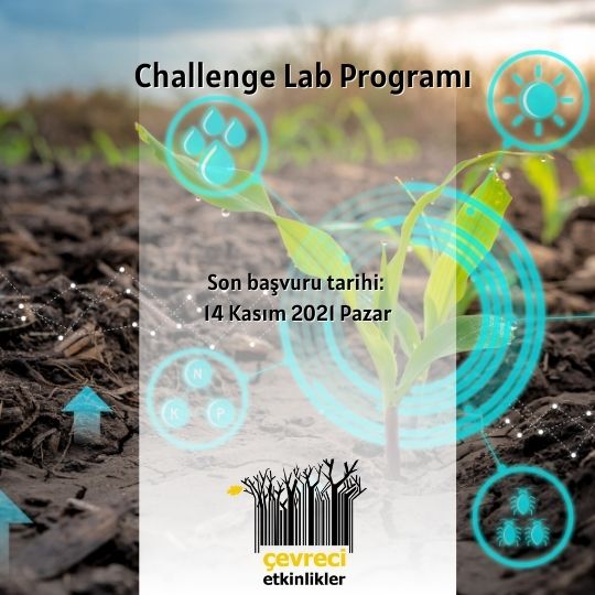 challenge lab