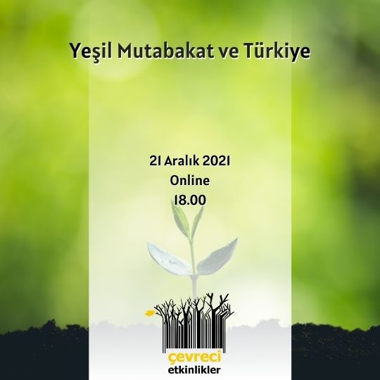 yesil mutabakat ve turkiye