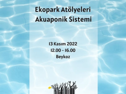 Ekopark Atölyeleri – Akuaponik Sistemi